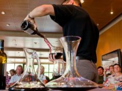 La production de vin chute en Europe en raison des aléas climatiques (DR)