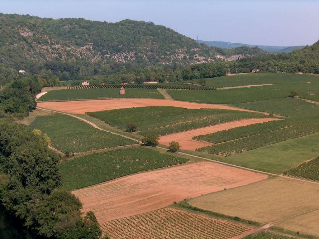 Le vignoble de Cahors (France)