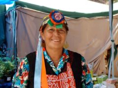 Une femme Mapuche