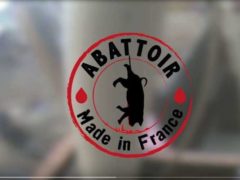 abattoir made in France