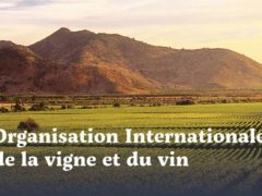 Organisation internationale de la vigne et du vin