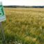 Nancy : Des organisations appellent à manifester contre la loi d&rsquo;urgence agricole