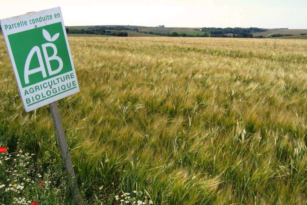 Découvrez l'agriculture biologique