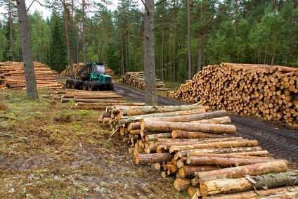 L'économie du bois dans le Grand Est (Le Guide des Métiers)