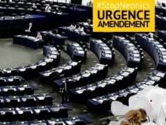 Lettre aux eurodéputés pour interdire les pesticides tueurs d'aibeilles