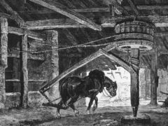 Cheval faisant tourner le « baritel » qui permet de faire monter et descendre les ouvriers dans la mine. Image extraite « La vie souterraine ou les mines et les mineurs » (1867), de Louis Simonin
