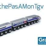 Pétition sur change.org pour le maintien du TGV et de toutes ses dessertes (capture change.org)