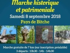 Marche historique au Pays de Bitche (affiche du Comité d'Histoire régional)