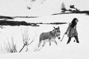 Magnifié par une superbe image en noir-et-blanc, "Fortuna" évoque le destin d'une jeune Ethiopienne réfugiée en Suisse..