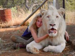 « Pour travailler avec des lions, il y a deux principes qui sont l’amour et la confiance », estime la jeune Daniah de Villiers.