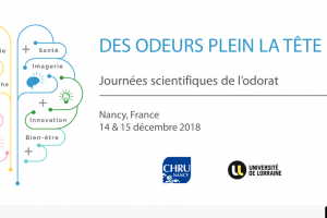 Journées scientifiques à Nancy (annonce U.L.)