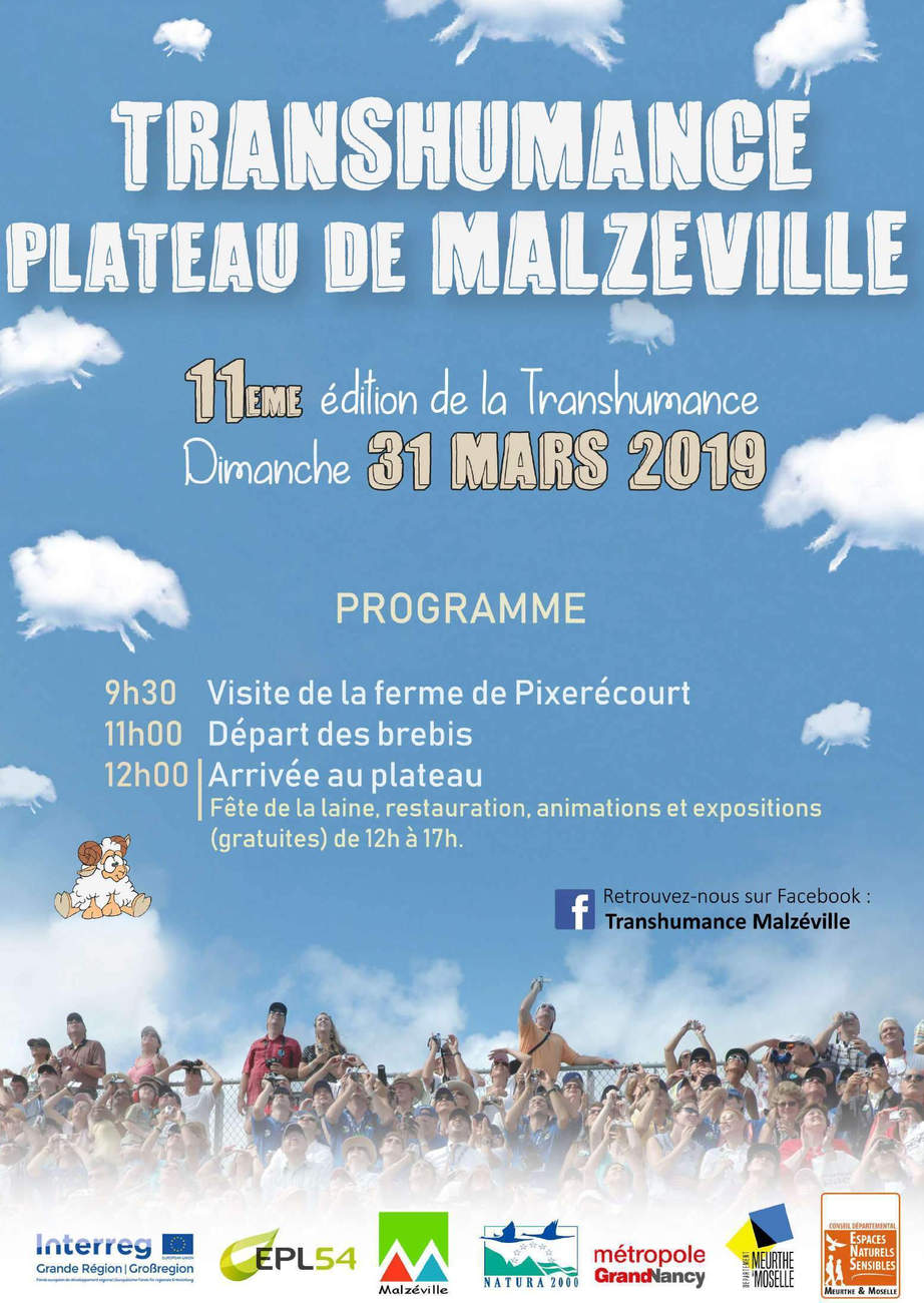 Transhumance au plateau de Malzéville (affiche)