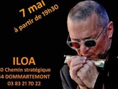 Alain Delhotal à l'harmonica (affiche)