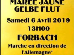 Manif des GJ à Forbach le 6 avril 2019