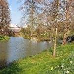 Photo illustrant la pétition des riverais de Nancy-Brabois