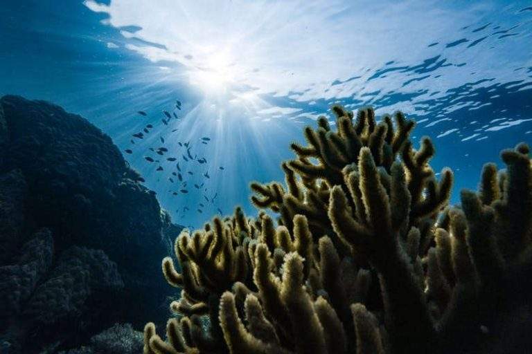 L'océan absorbe environ un tiers de nos émissions de CO2 ; mais au rythme où l'on va, les eaux saturent. Marek Okon/Unsplash, CC BY-NC-ND