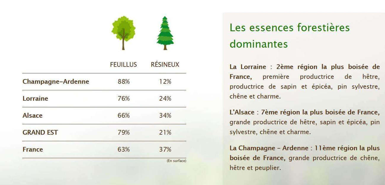 La filière forêt-bois - Département de la Loire