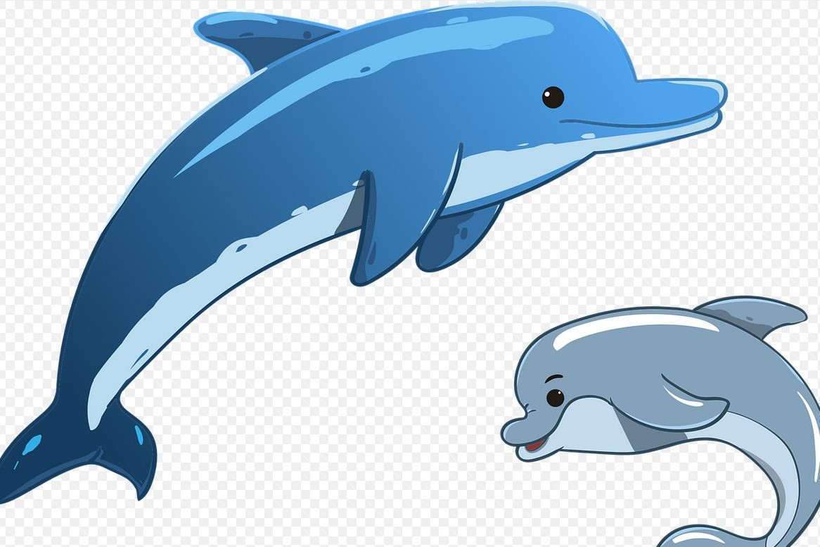 Дельфин на белом фоне для детей