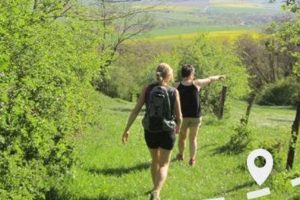 Rando dans le Saulnois