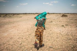 Dans la région de la Corne de l’Afrique, des épisodes de sécheresse intense survenus en 2011, 2017 et 2019 ont décimé les cultures et le bétail et entraîné de graves pénuries alimentaires et d’eau. (Photo : Pablo Tosco/Oxfam)