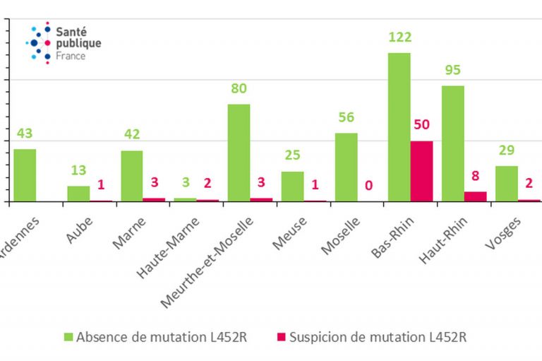 Nombre de prélèvements positifs à SARS-CoV-2 domiciliés dans le Grand Est criblés pour la mutation L452R portée par le variant delta. (Source : laboratoires de biologie médicale pratiquant des tests RT-PCR de criblage).