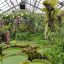 Nancy : journée internationale des plantes le 21 mai au Jardin botanique Jean-Marie Pelt