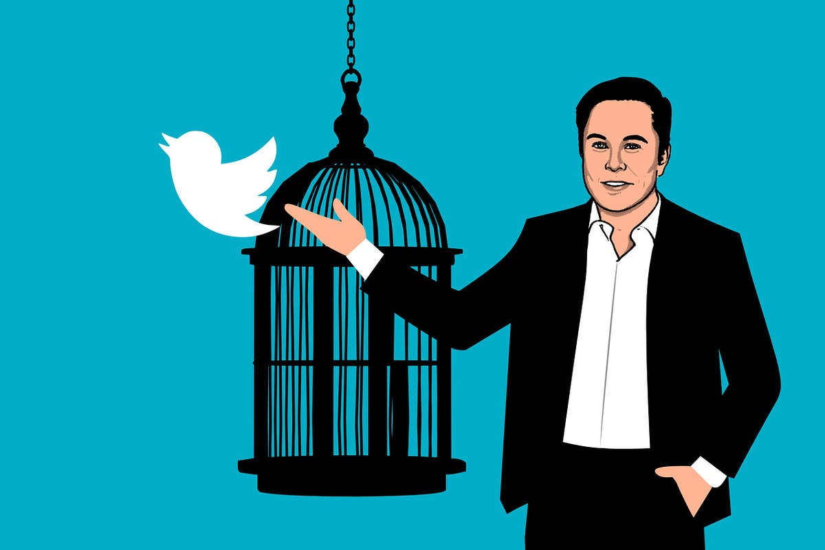 Elon Musk ouvre la cage de l'oiseau bleu (Pixabay)