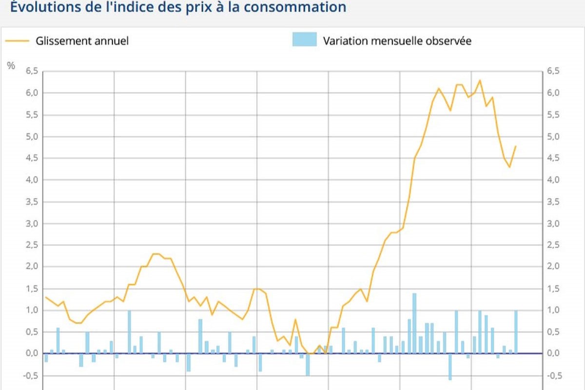 Inflation 2024 Insee Indice Ethel Janenna