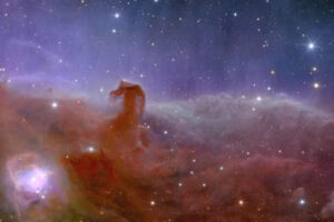 Euclid nous apporte des images d'une grande netteté sur de larges portions du ciel. Ici, la nébuleuse dite de la tête de cheval. ESA/Euclid/Euclid Consortium/NASA, données calculées par J.-C. Cuillandre (CEA Paris-Saclay), G. Anselmi , CC BY-SA