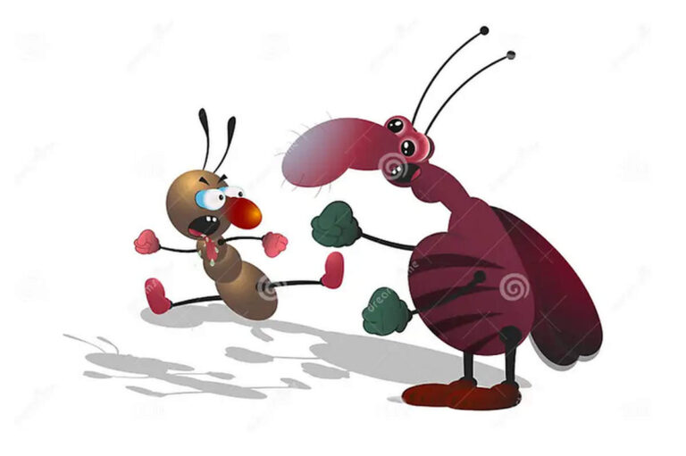 La fourmi et le cafard (dessin Libre de droits)