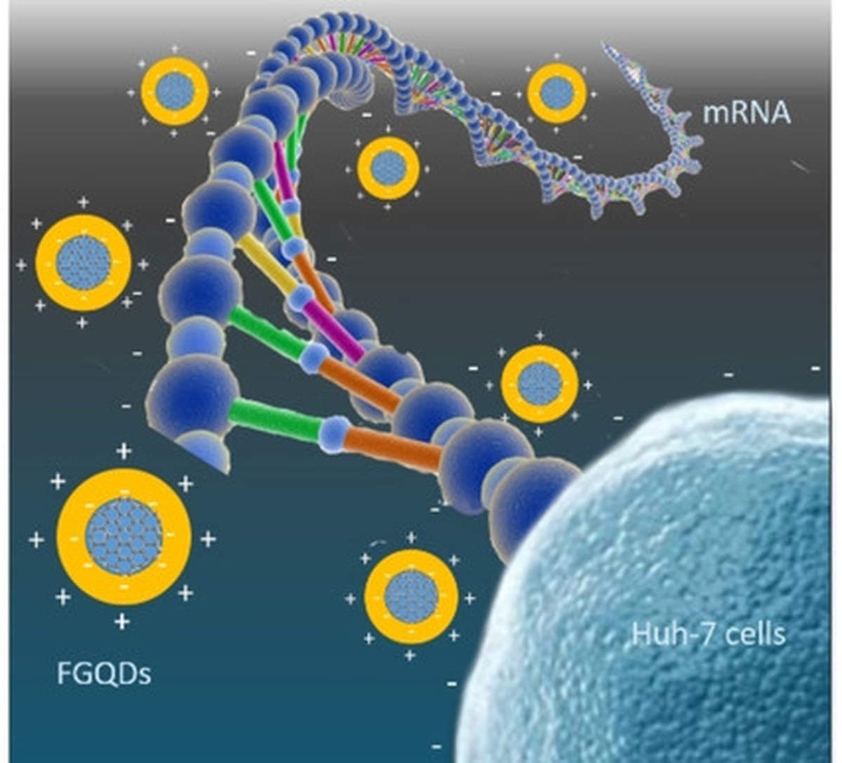 Ce travail décrit les premières étapes d'une méthode de préparation potentiellement intéressante pour des systèmes de libération d'ARNm stables et efficaces. 