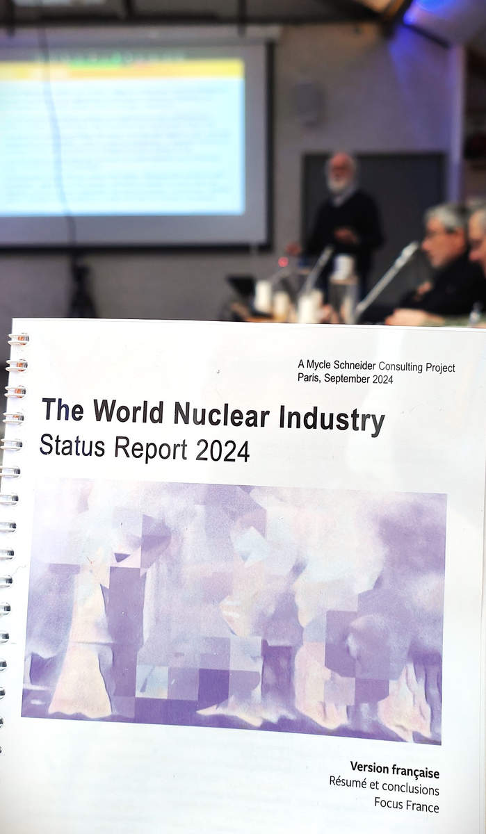 The World Nuclear Industry 2024