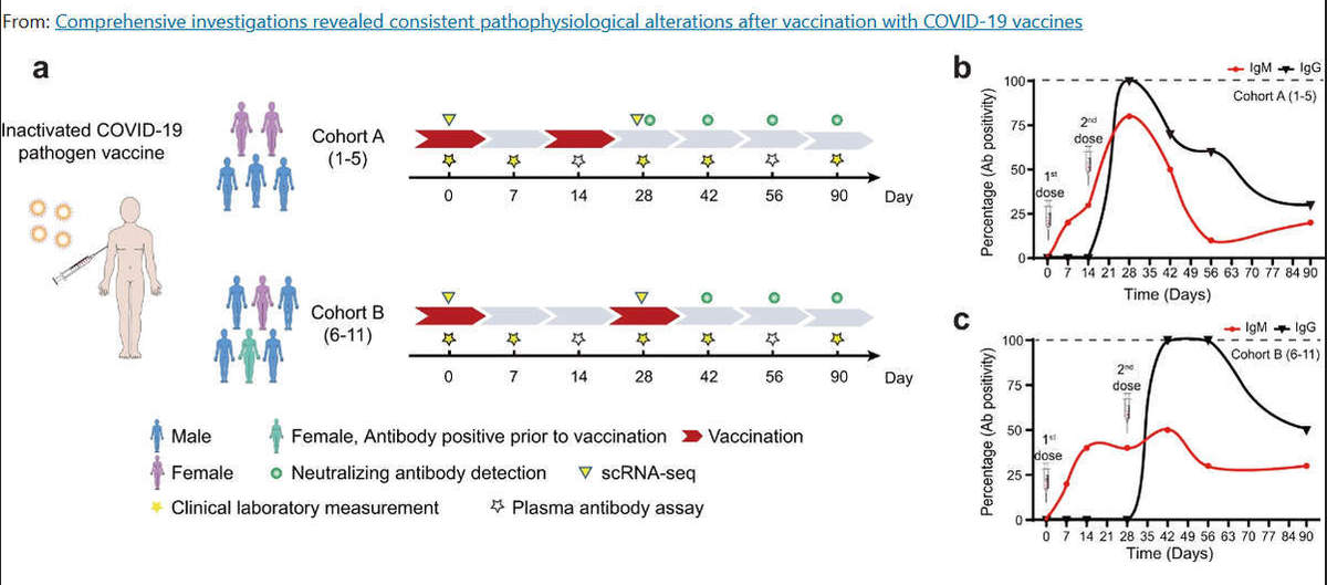 Flux de travail schématique et détection d'anticorps/neutralisants SARS-CoV-2 après la vaccination.