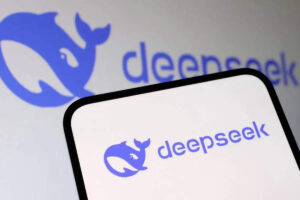 deepseek (FMT)