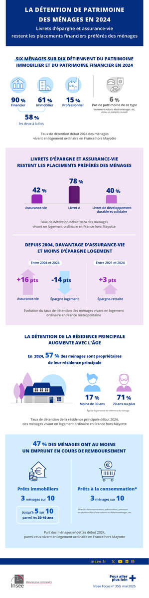 Infographie_Insee_detention patrimoine