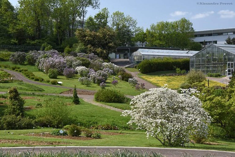 Jardin botanique Jean-Marie Pelt de Nancy (Flickr)