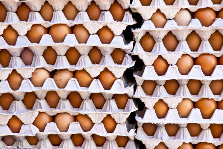 oeufs- (UnlimpPhotos)