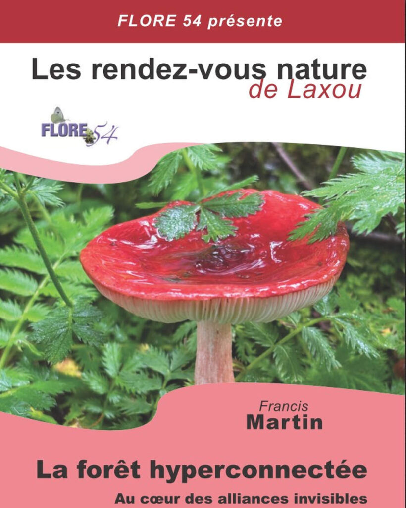 La forêt interconnectée (Francis Martin)