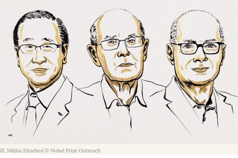 Susumu Kitagawa, Richard Robson and Omar M. Yaghi lauréats du Nobel de Chimie 2025