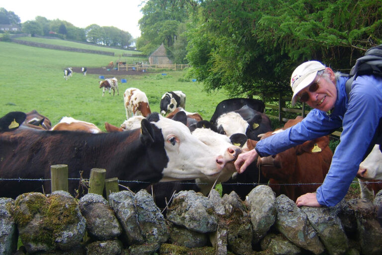 Élevage bovin (CCO Domaine Public)