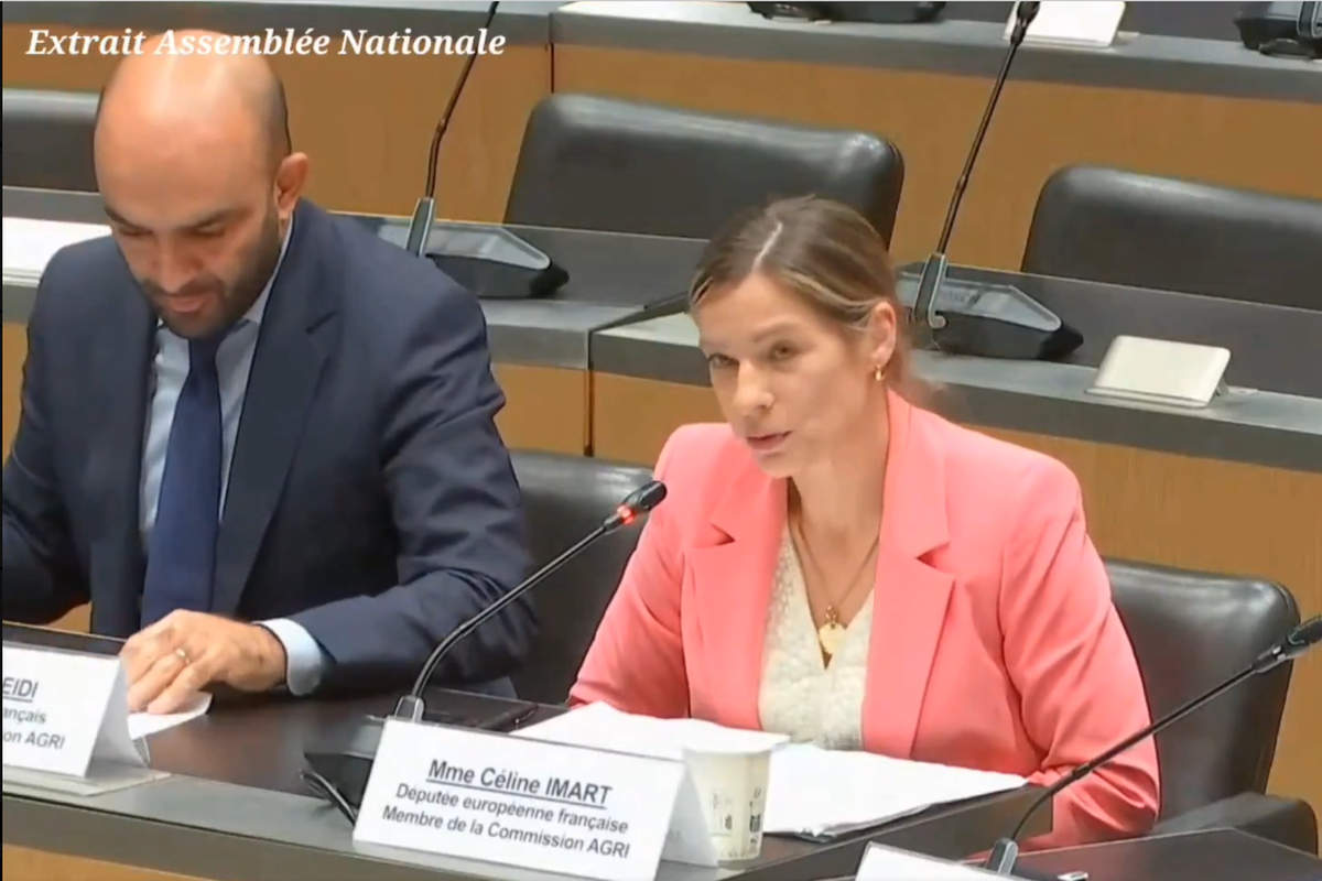 Mercosur : quatre eurodéputés à l'assemblée nationale (capture X)