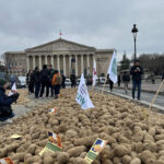 Union nationale des producteurs de pommes de terre (capture X)