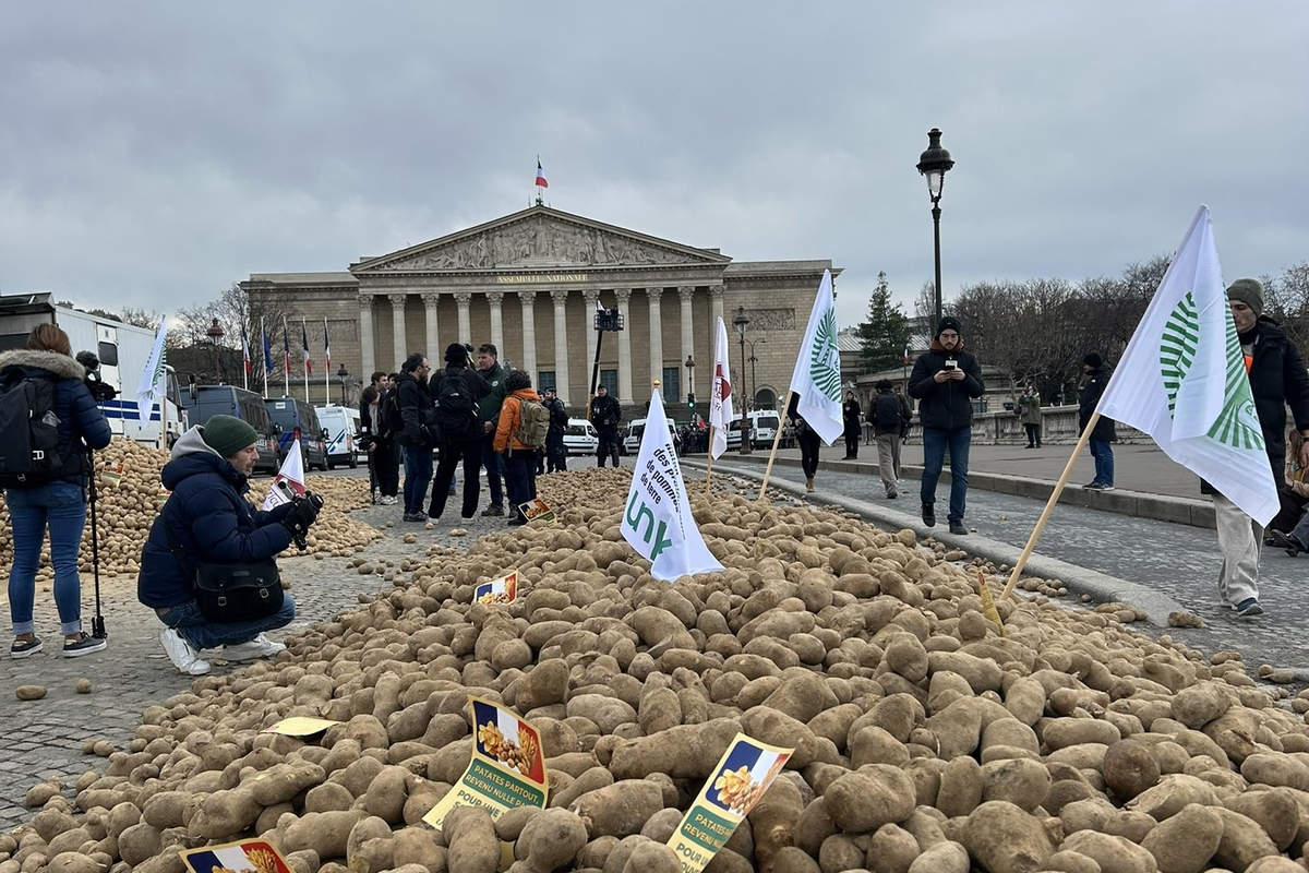 Union nationale des producteurs de pommes de terre (capture X)