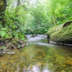 Les PFAS, un poison invisible (free image)