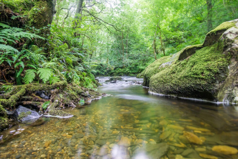 Les PFAS, un poison invisible (free image)