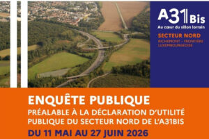 A 31 bis