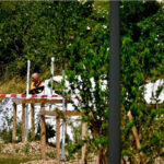 Onze morts dans un accident d'avion à Tomblaine (54)