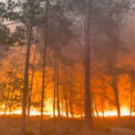 Incendie dans la forêt de FOntainebleau (image Pompiers de France)