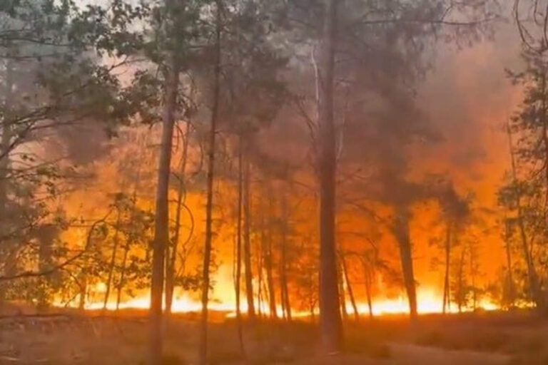 Incendie dans la forêt de FOntainebleau (image Pompiers de France)