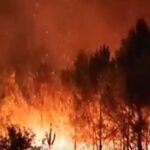 Incendies en Gironde (X Little Think Tank)